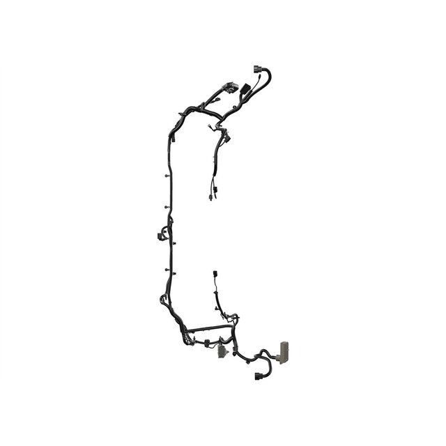 Alternate Image