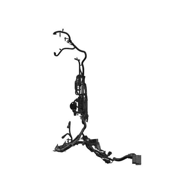 Alternate Image