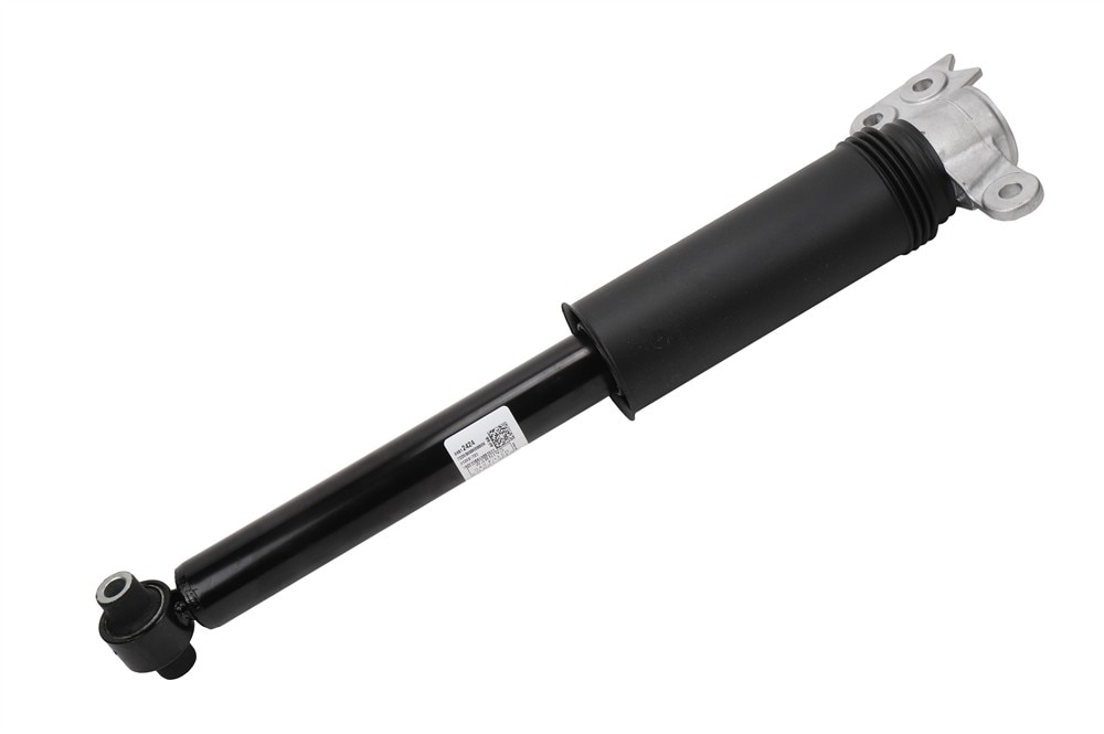 GM Genuine Parts Rear Shock Absorber with Upper Mount