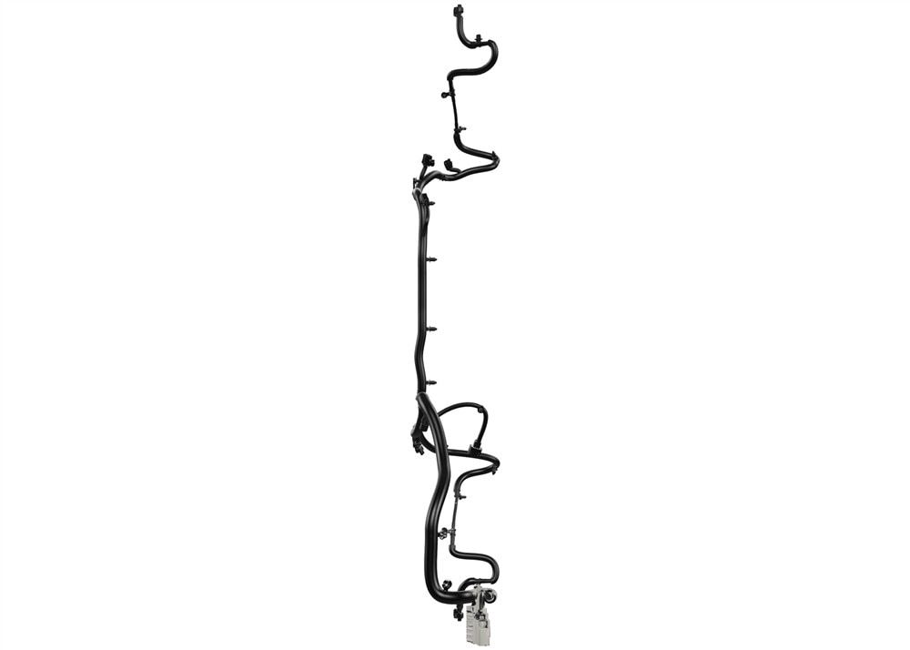 Alternate Image