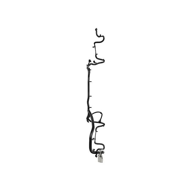 Alternate Image
