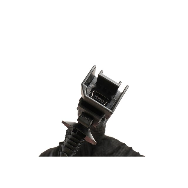 Alternate Image