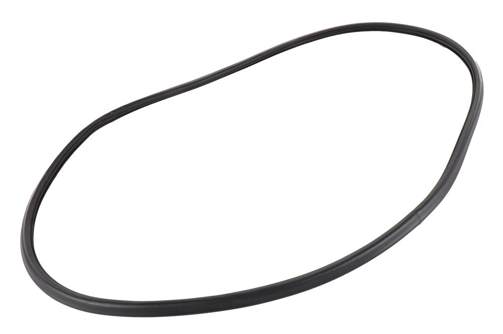 GM Genuine Parts Rear Side Door Weatherstrip