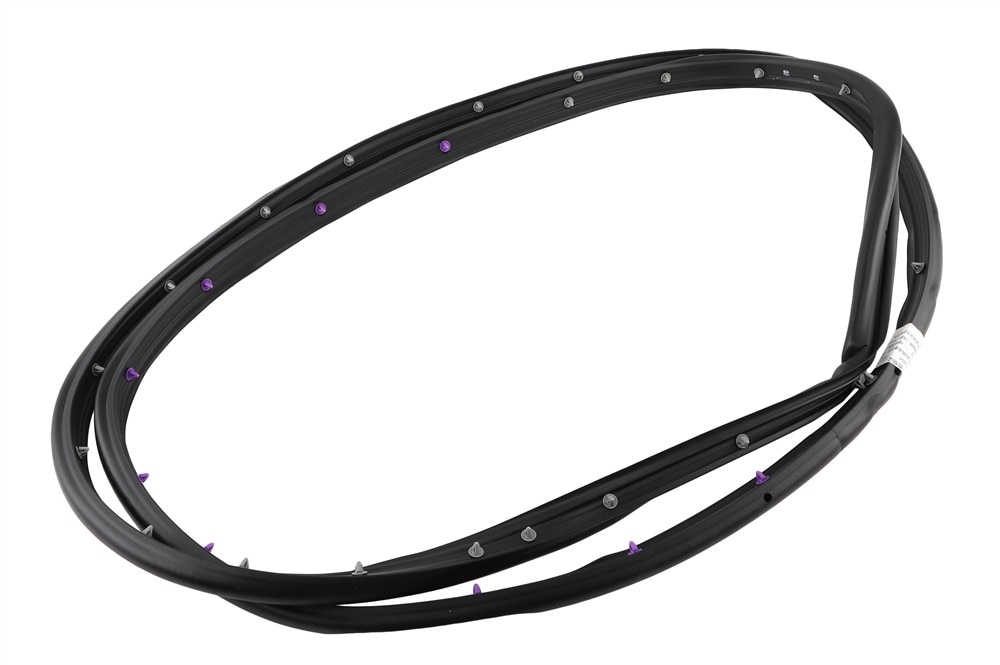 GM Genuine Parts Rear Passenger Side Door Weatherstrip