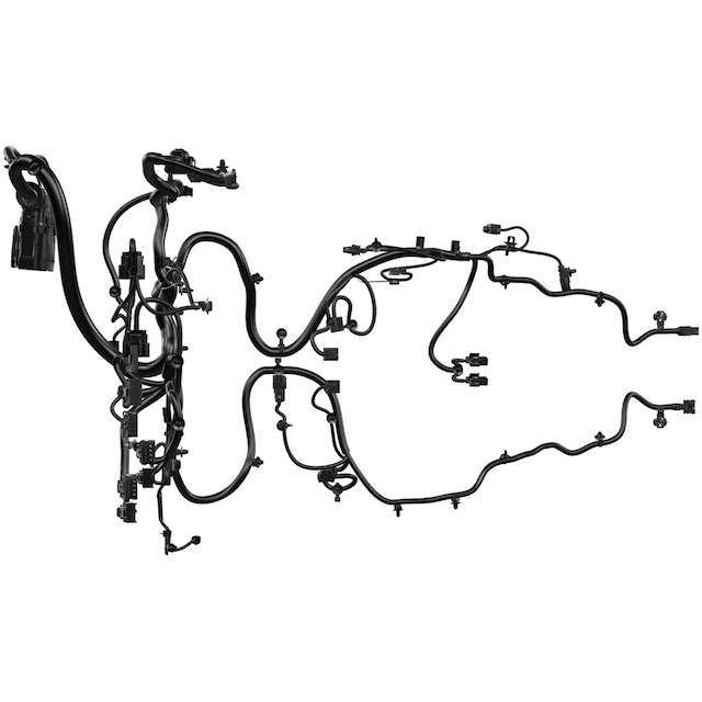 Alternate Image