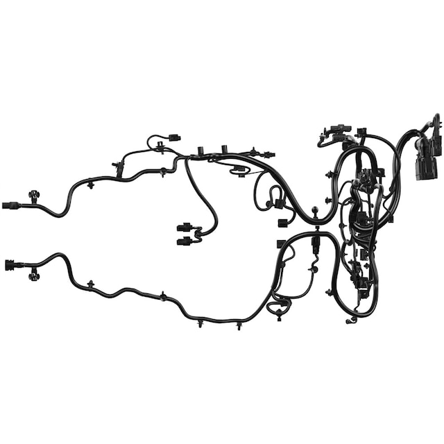 Alternate Image