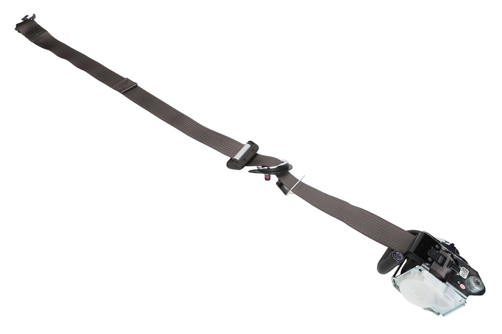 Alternate Image