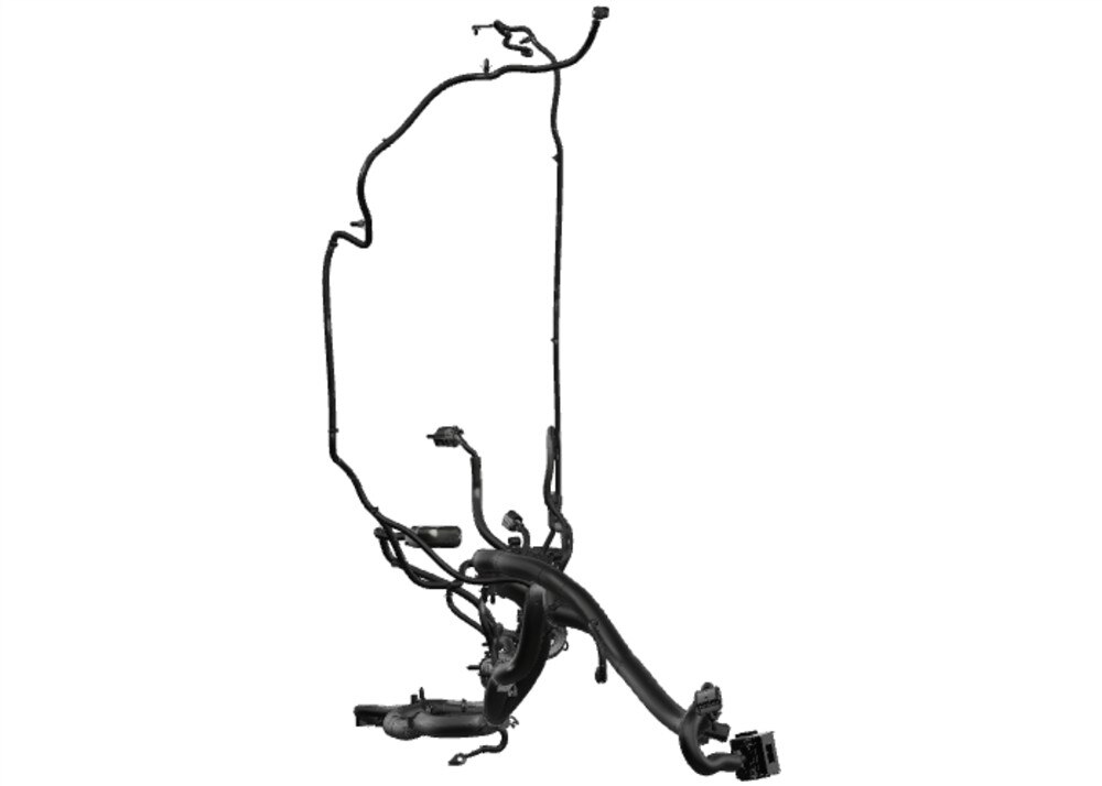 Alternate Image