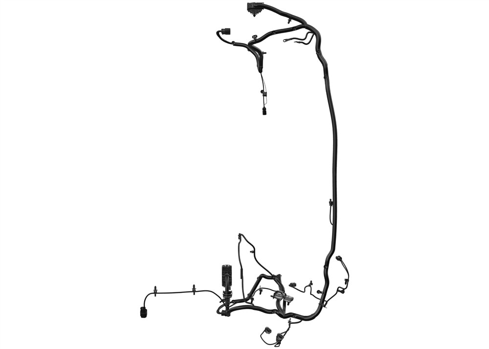 Alternate Image