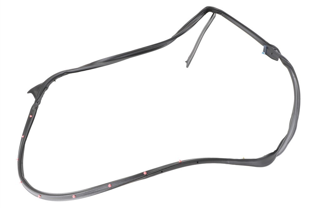 GM Genuine Parts Rear Driver Side Door Weatherstrip