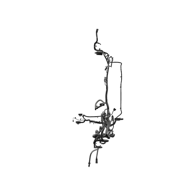 Alternate Image