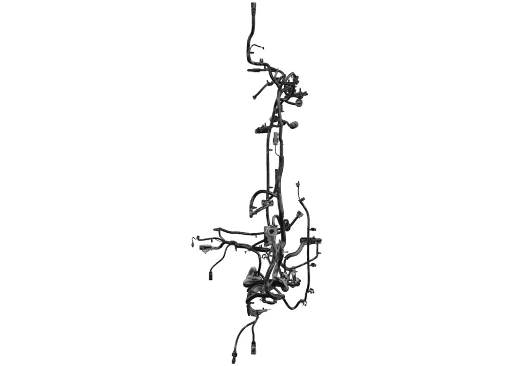Alternate Image