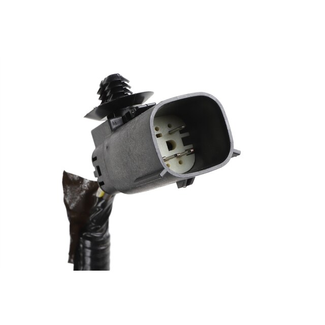 Alternate Image