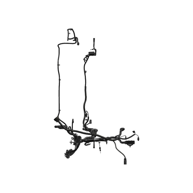Alternate Image