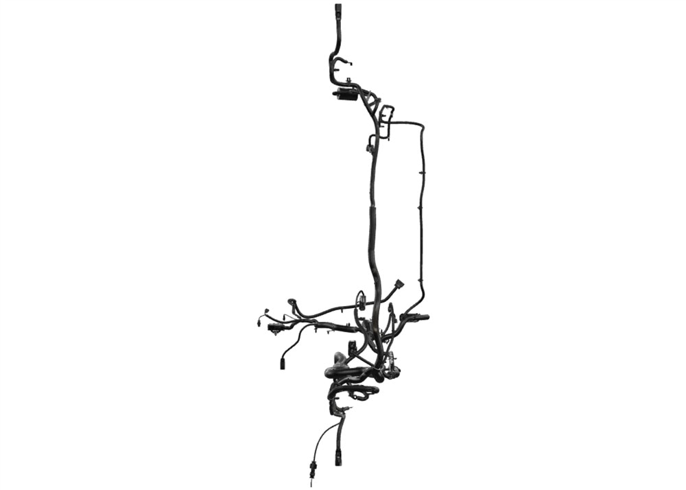 Alternate Image