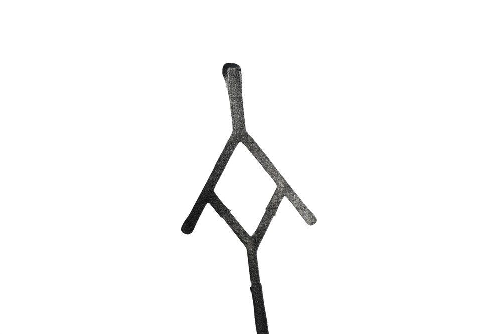 Alternate Image