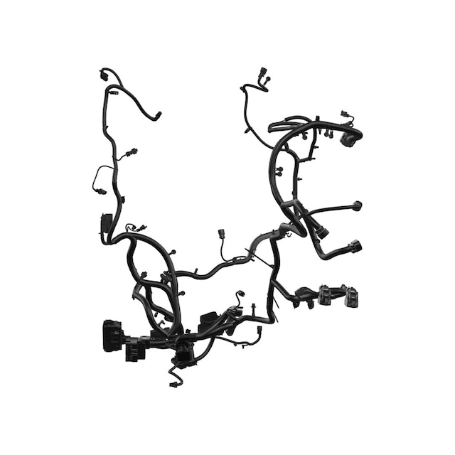 Alternate Image