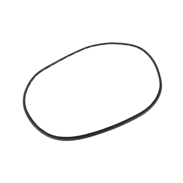 GM Genuine Parts Rear Driver Side Door Weatherstrip (Door Side)