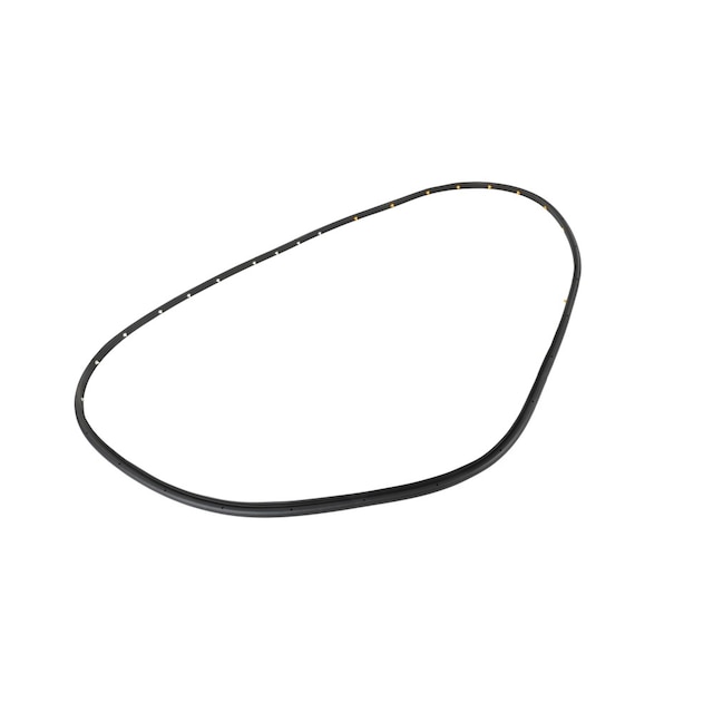 GM Genuine Parts Rear Passenger Side Door Weatherstrip (Door Side)