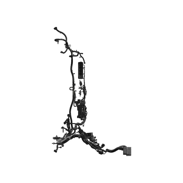 Alternate Image