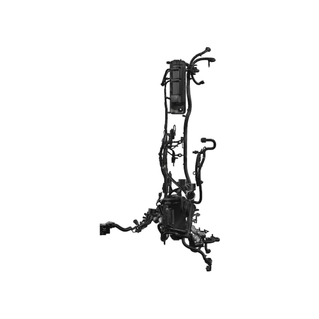 Alternate Image