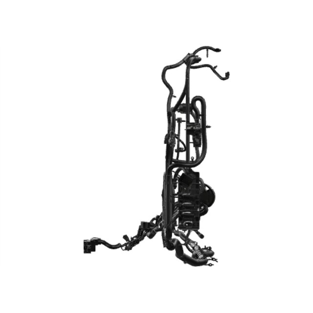 Alternate Image
