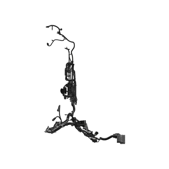 Alternate Image