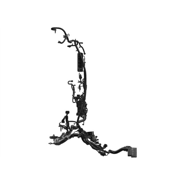 Alternate Image