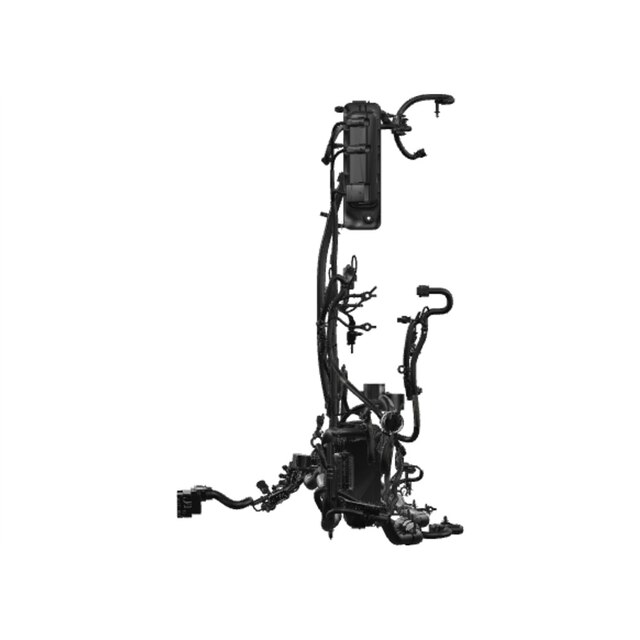 Alternate Image