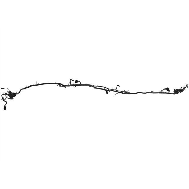 Alternate Image