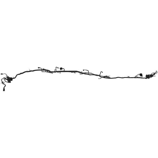 Alternate Image