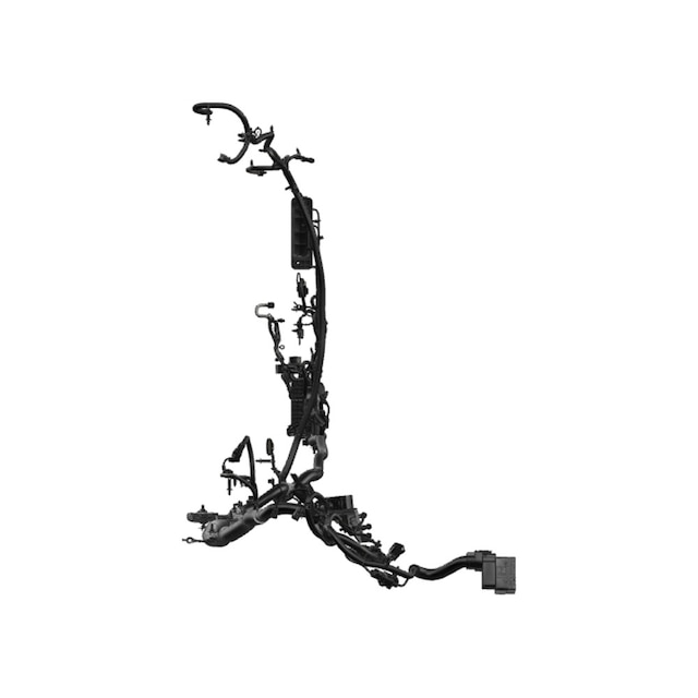 Alternate Image