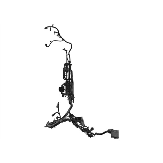Alternate Image