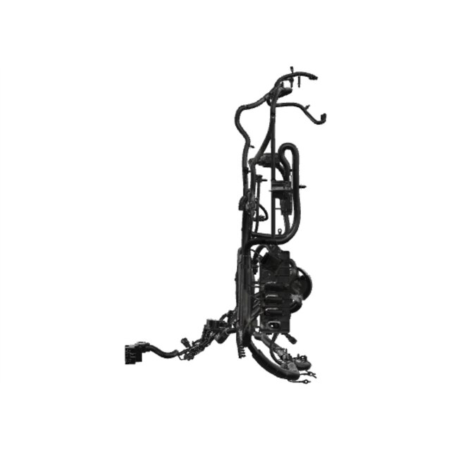 Alternate Image