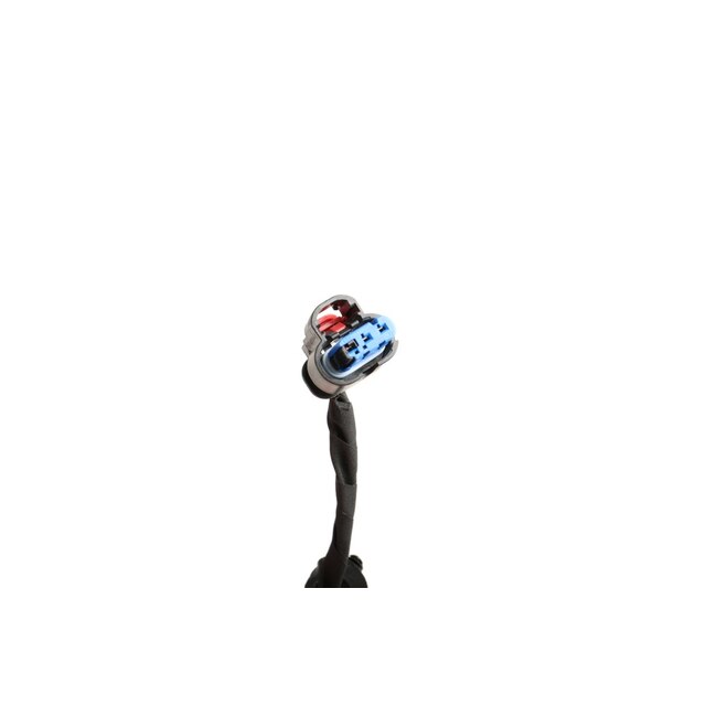Alternate Image