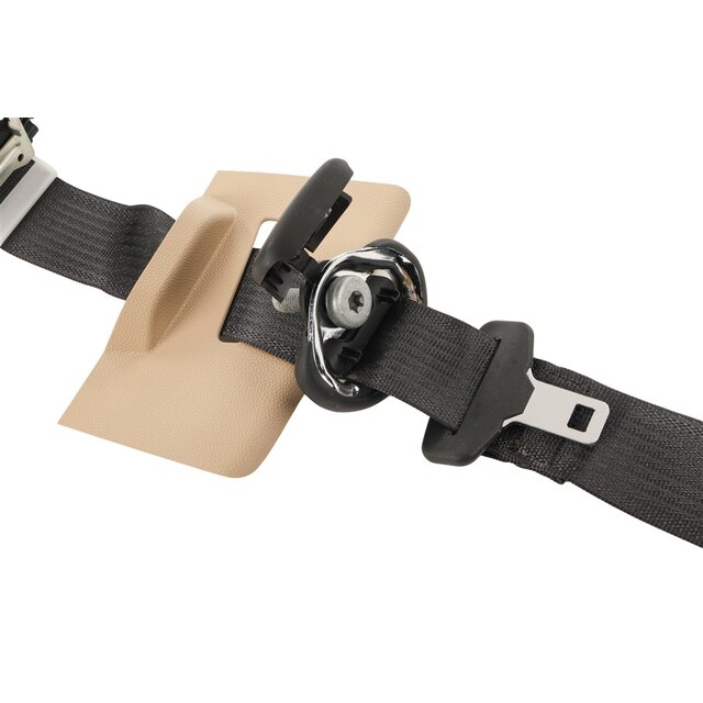 Alternate Image