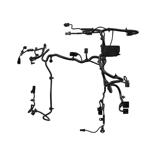 Alternate Image