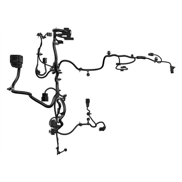 Alternate Image