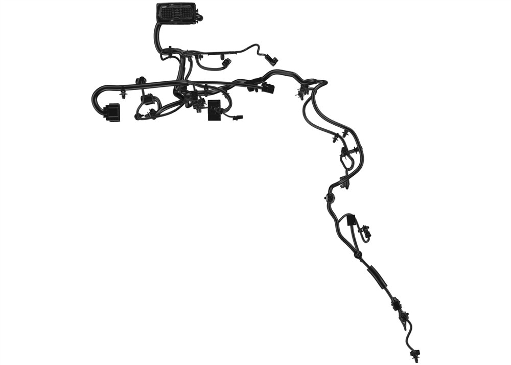 Alternate Image