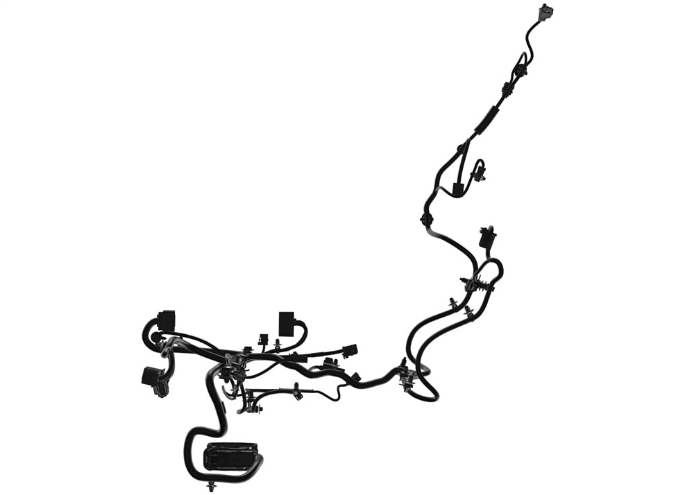 Alternate Image