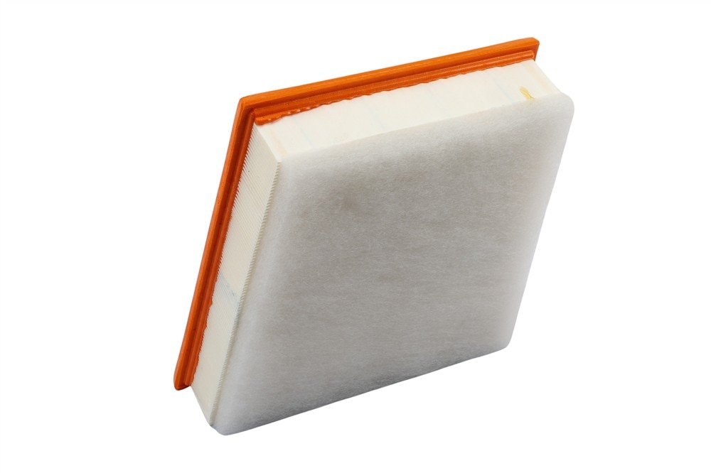 GM Genuine Parts Air Filter