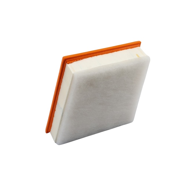 GM Genuine Parts Air Filter