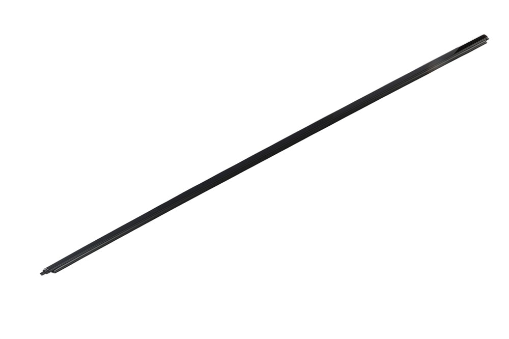 GM Genuine Parts Door Belt Molding