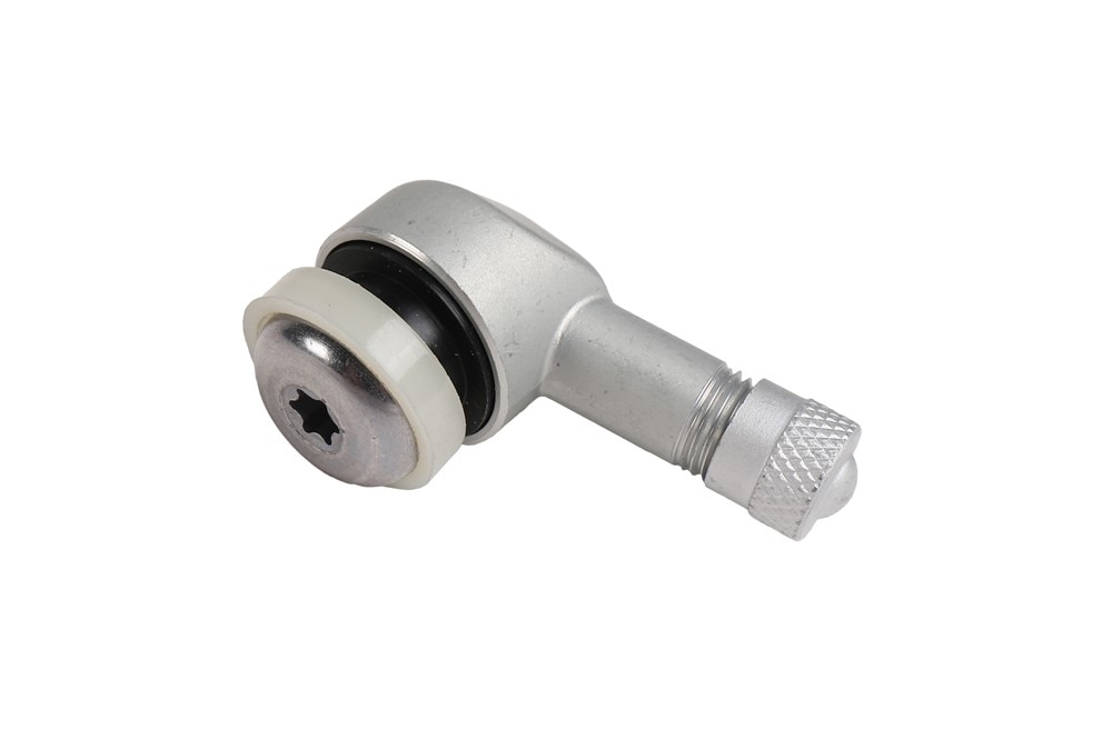 GM Genuine Parts Tire Valve Front and Rear Stem