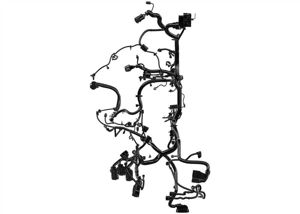Alternate Image