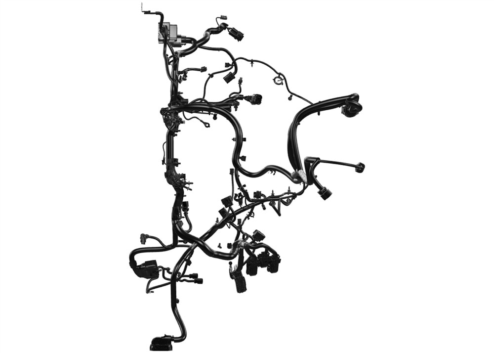 Alternate Image