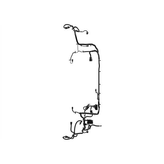 Alternate Image