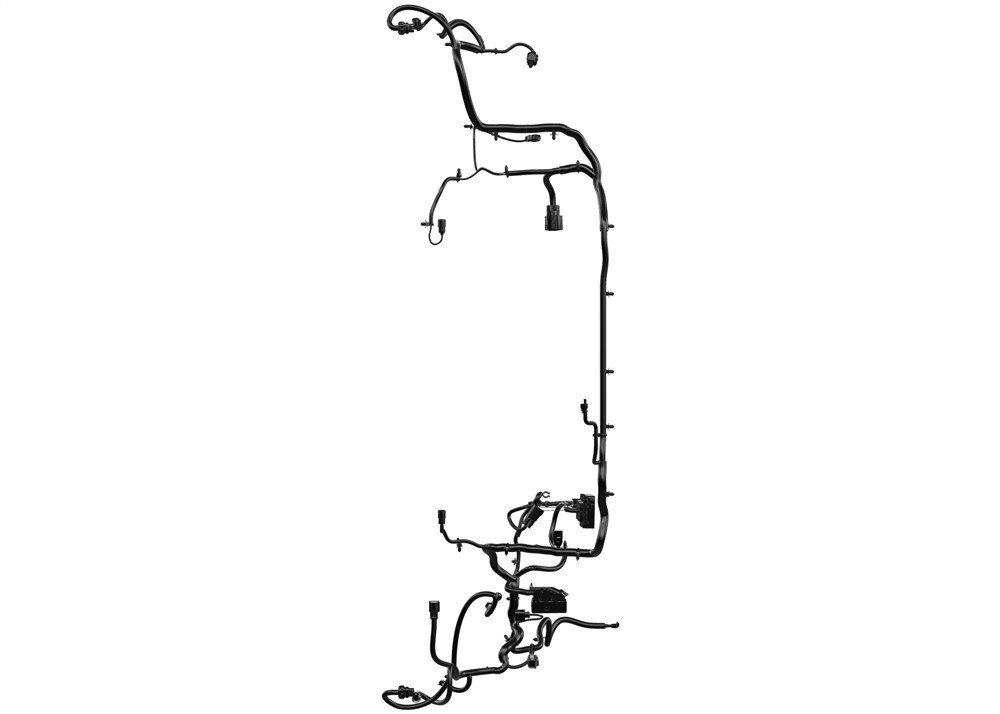 Alternate Image