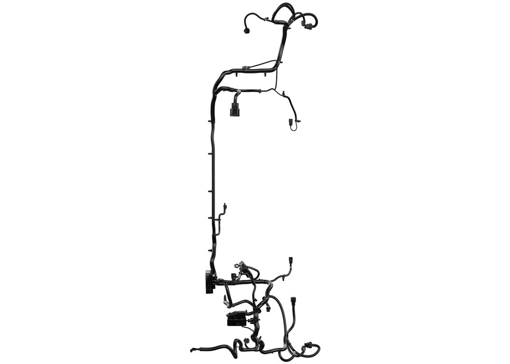 Alternate Image