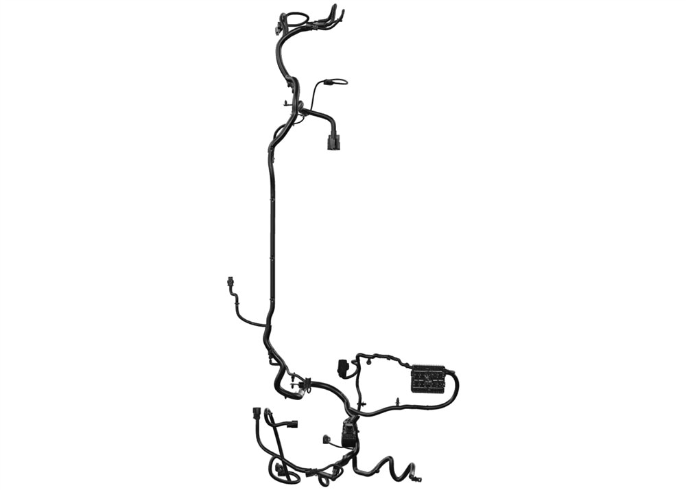Alternate Image
